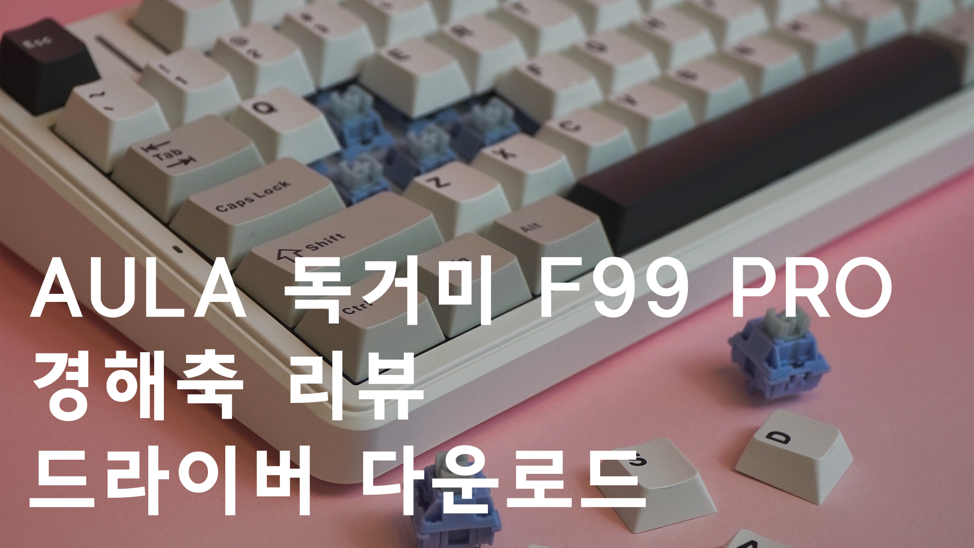 AULA 독거미 F99 PRO 경해축 리뷰 드라이버 다운로드